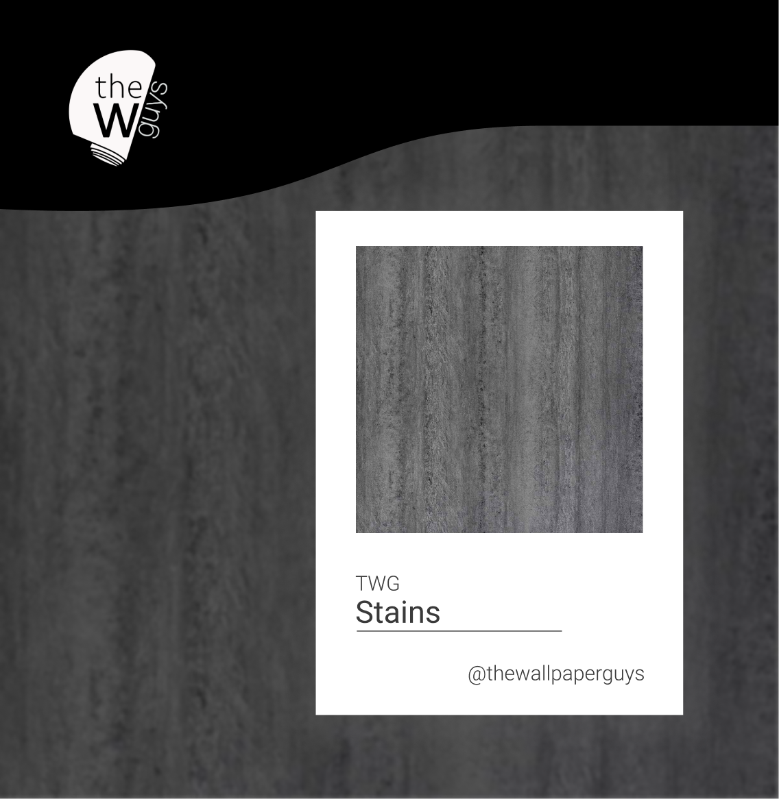 Photo of stains services in Florida Wallpaper Guys